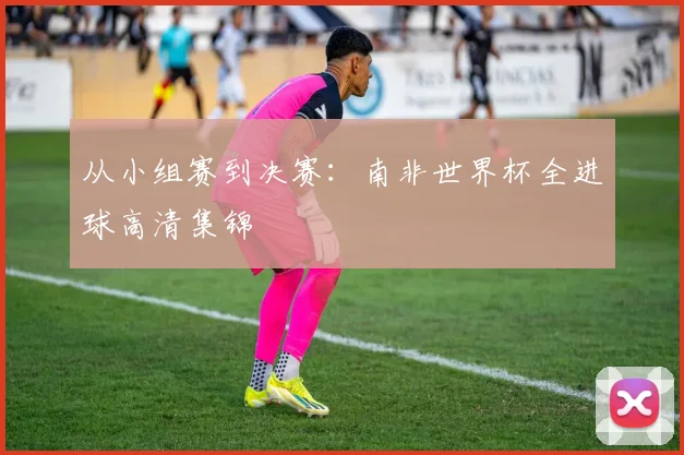 从小组赛到决赛:南非世界杯全进球高清集锦