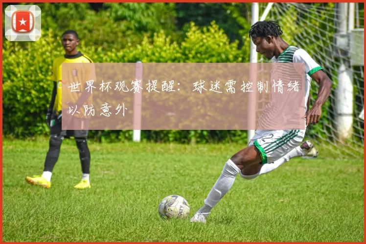 世界杯观赛提醒:球迷需控制情绪以防意外