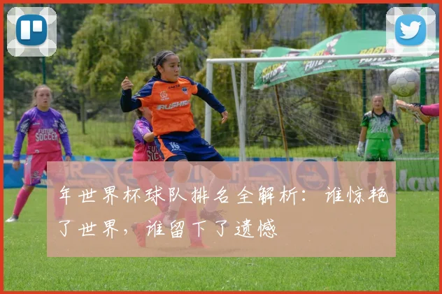 年世界杯球队排名全解析:谁惊艳了世界,谁留下了遗憾