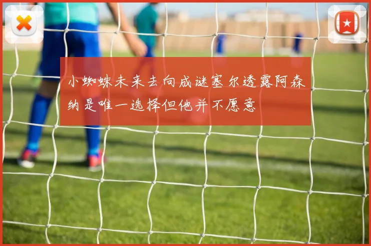 小蜘蛛未来去向成谜塞尔透露阿森纳是唯一选择但他并不愿意