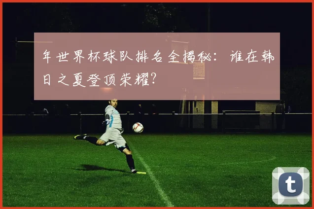 年世界杯球队排名全揭秘:谁在韩日之夏登顶荣耀?