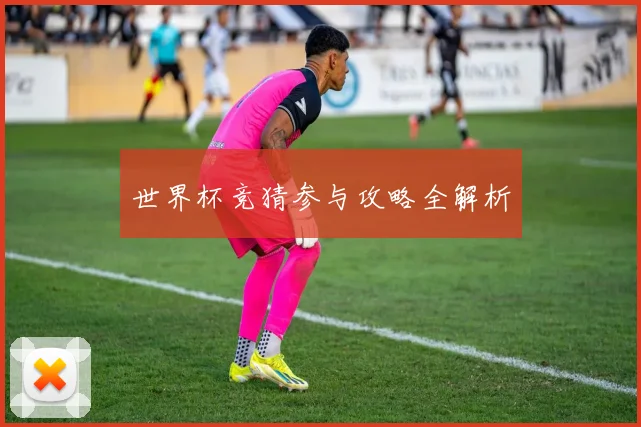 世界杯竞猜参与攻略全解析