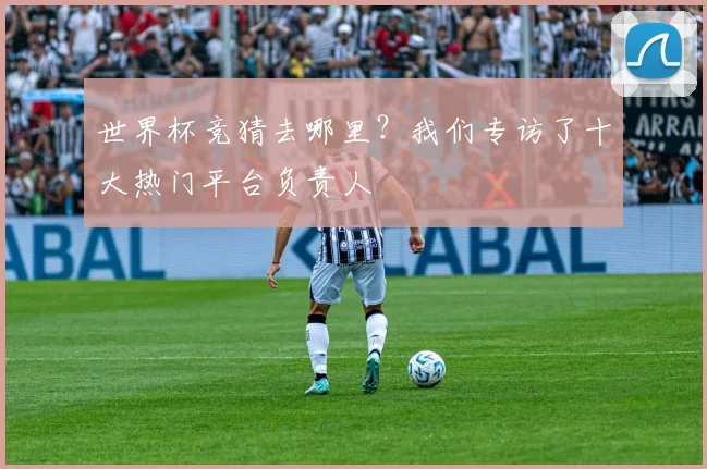 世界杯竞猜去哪里?我们专访了十大热门平台负责人