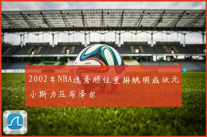 2002年NBA选秀顺位重排姚明成状元小斯力压布泽尔