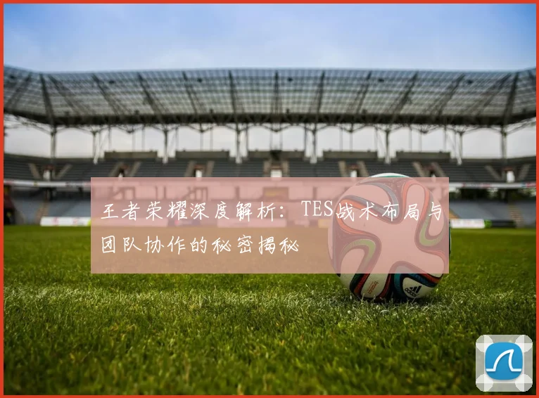 王者荣耀深度解析：TES战术布局与团队协作的秘密揭秘