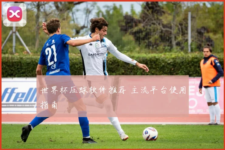 世界杯压球软件推荐 主流平台使用指南