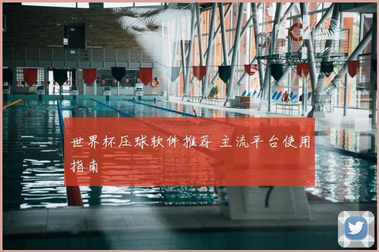 世界杯压球软件推荐 主流平台使用指南