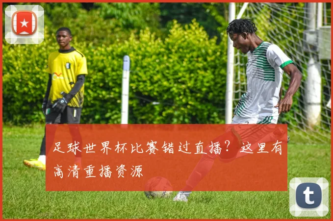 足球世界杯比赛错过直播?这里有高清重播资源