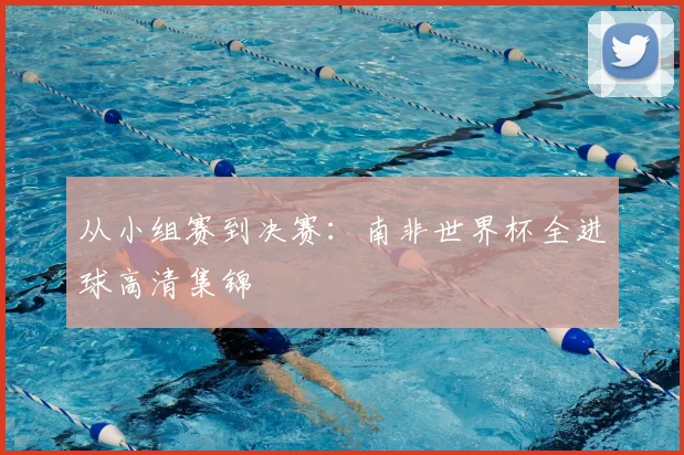 从小组赛到决赛:南非世界杯全进球高清集锦