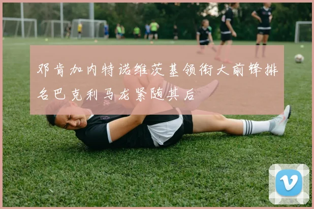 邓肯加内特诺维茨基领衔大前锋排名巴克利马龙紧随其后