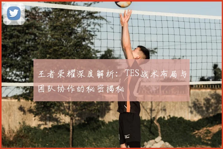 王者荣耀深度解析：TES战术布局与团队协作的秘密揭秘