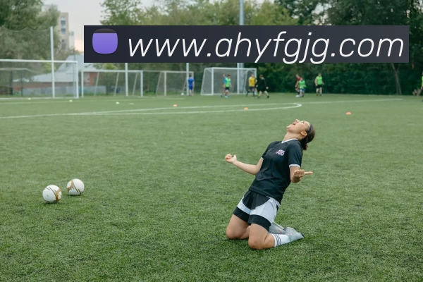 华体会体育发展历程